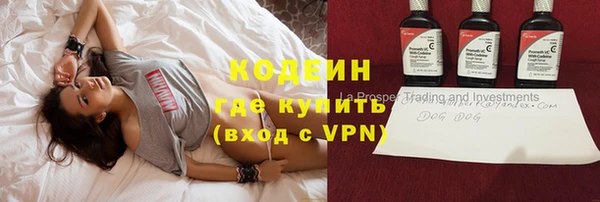 apvp Инсар