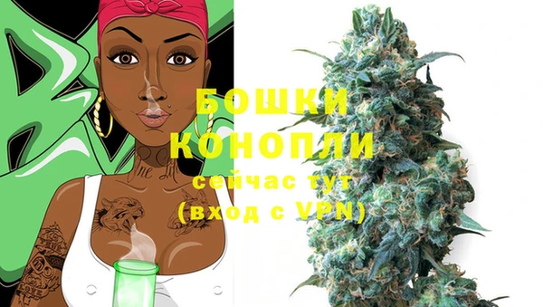 прущие крисы Каменногорск