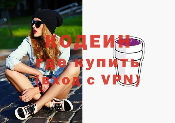 apvp Инсар
